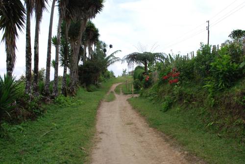 Neira Colombia Booking Discount booking.com