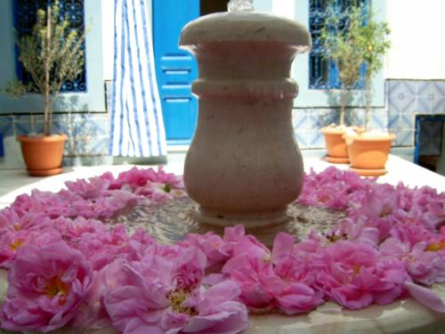 Sousse Tunisia Booking Discount agoda.com