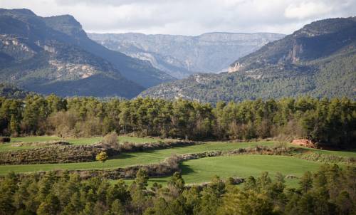 La Baronia de Rialb Spain Booking Discount booking.com