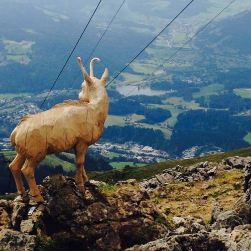 Ebbs Austria Booking Discount booking.com