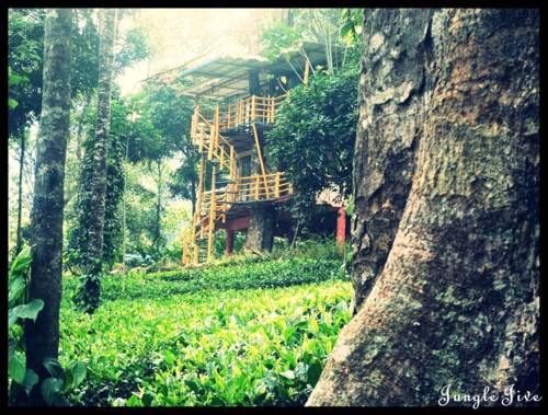 Munnar India Booking Discount booking.com