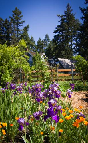 Orcas Island (Washington) United States Booking Discount booking.com