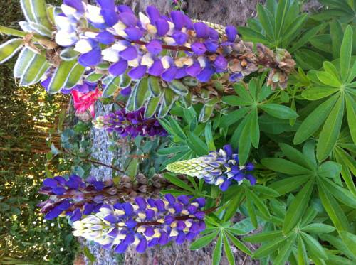 Saint-Père-en-Retz France Réservation Réduction booking.com