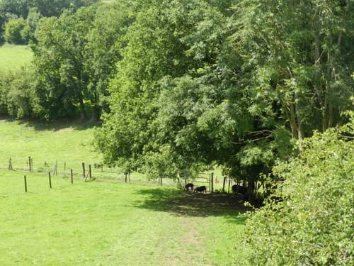 Xhendelesse Belgique Réservation Réduction booking.com