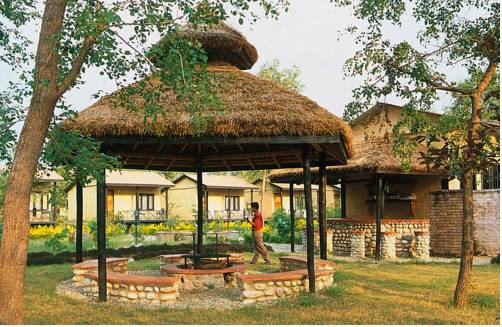 Sauraha Népal Réservation Réduction booking.com