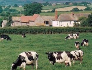 Woodbury United Kingdom Booking Discount agoda.com