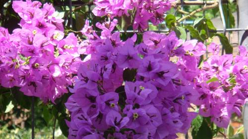 Sutomore Monténégro Réservation Réduction booking.com