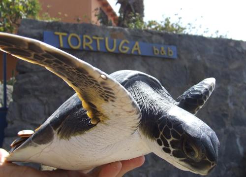 Sao Filipe Cape Verde Booking Discount agoda.com