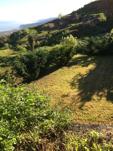 Puerto de la Cruz Spain Booking Discount booking.com