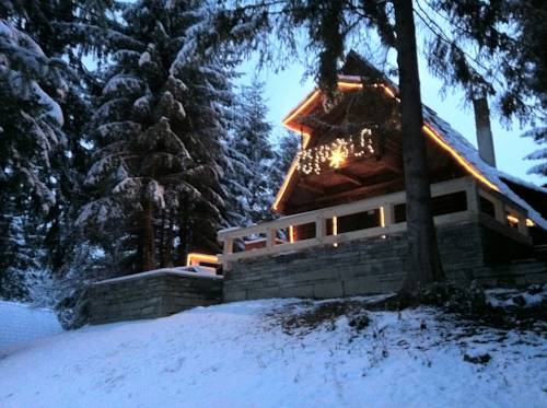 Vişeu de Sus Roumanie Réservation Réduction booking.com