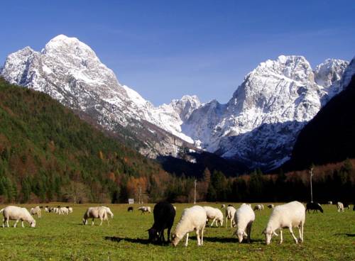 Bovec Slovénie Réservation Réduction booking.com