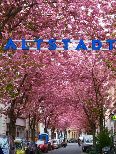 Bonn Allemagne Réservation Réduction booking.com