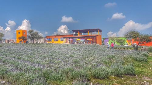 San Miguel De Allende Mexico Booking Discount agoda.com