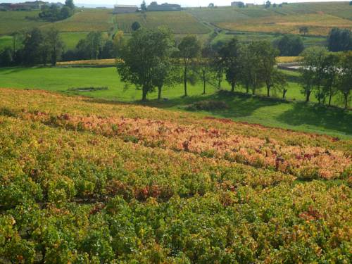 Odenas France Booking Discount booking.com