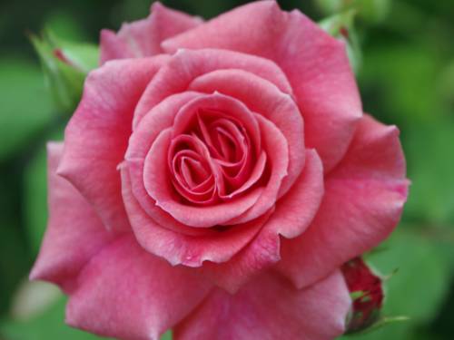 Mercatello sul Metauro Italie Réservation Réduction booking.com