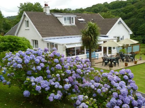 Amroth United Kingdom Booking Discount agoda.com