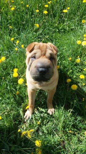 Lappago Italie Réservation Réduction booking.com