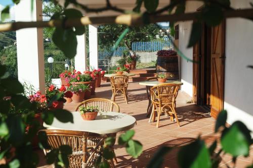 Laureana Cilento Italy Booking Discount agoda.com