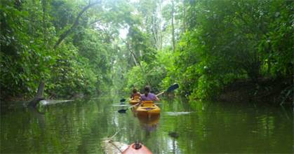 Puerto Viejo Costa Rica Réservation Réduction booking.com