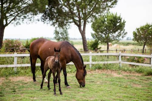 Alberese Italy Booking Discount booking.com