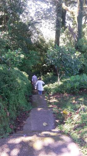 Munduk Indonésie Réservation Réduction booking.com