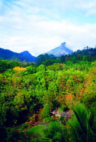 Uki Australia Booking Discount booking.com