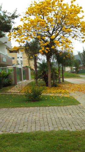 Florianópolis - Campeche Brazil Booking Discount booking.com