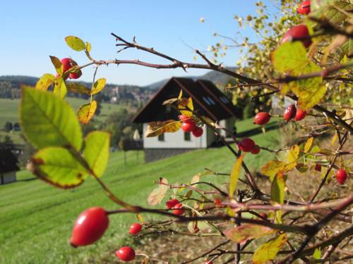 Stárkov République Tchèque Réservation Réduction booking.com