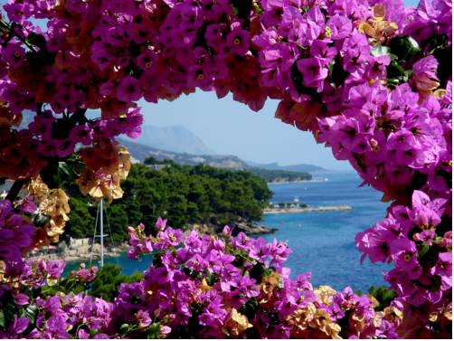 Brela Croatie Réservation Réduction booking.com