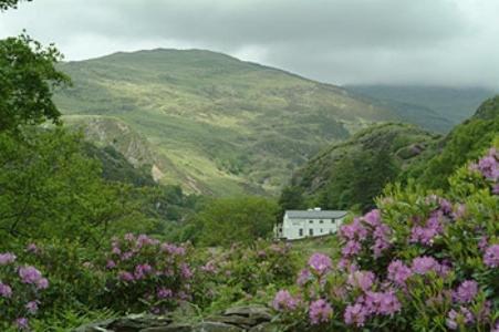 Beddgelert United Kingdom Booking Discount agoda.com
