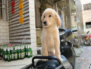 Guilin China Booking Discount agoda.com