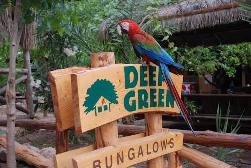 Olympos (Antalya) Turkey Booking Discount booking.com