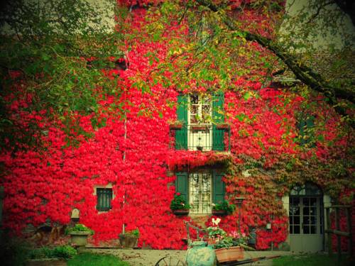 Tizzano Val Parme Italie Réservation Réduction booking.com