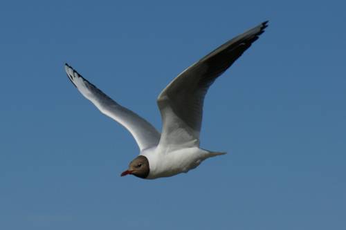 Ostseebad Koserow Germany Booking Discount booking.com