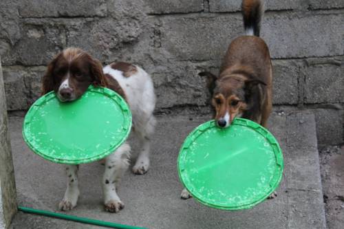 Marshwood United Kingdom Booking Discount booking.com