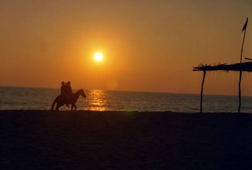 Pie de la Cuesta Mexico Booking Discount booking.com