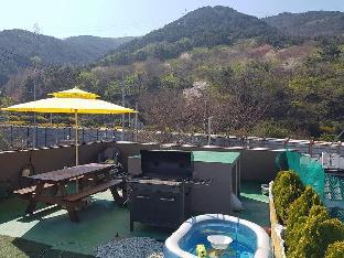 Busan South Korea Booking Discount agoda.com
