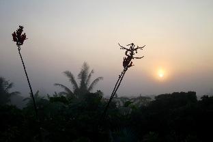 Chiang Mai Thailand Booking Discount agoda.com