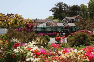 Taean-gun South Korea Booking Discount agoda.com