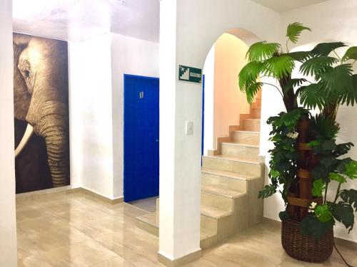 Chetumal Mexico Booking Discount agoda.com