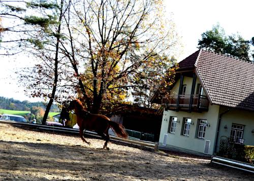 Sankt Lorenzen am Wechsel L'Autriche Réservation Réduction booking.com