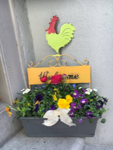 Gersau Switzerland Booking Discount booking.com