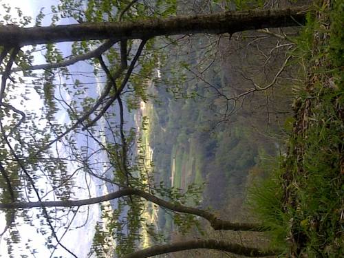 Corfino Italy Booking Discount booking.com