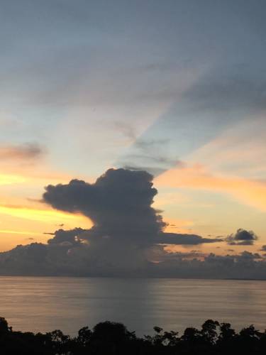 Manuel Antonio Costa Rica Réservation Réduction booking.com