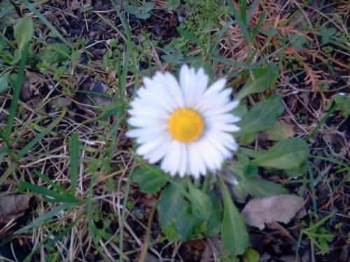 Castignano Italy Booking Discount booking.com