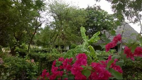 Malindi Kenya Réservation Réduction booking.com