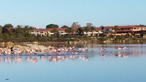 Capo Coda Cavallo Italy Booking Discount booking.com