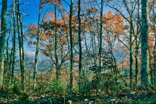 Zion Grove (TN) United States Booking Discount agoda.com