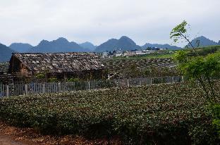 Moc Chau Vietnam Booking Discount agoda.com