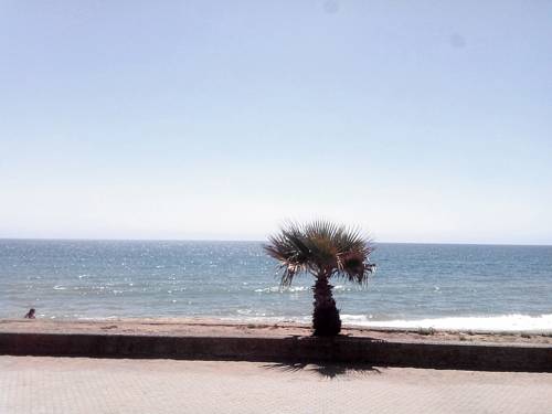 Viña del Mar Chile Booking Discount booking.com